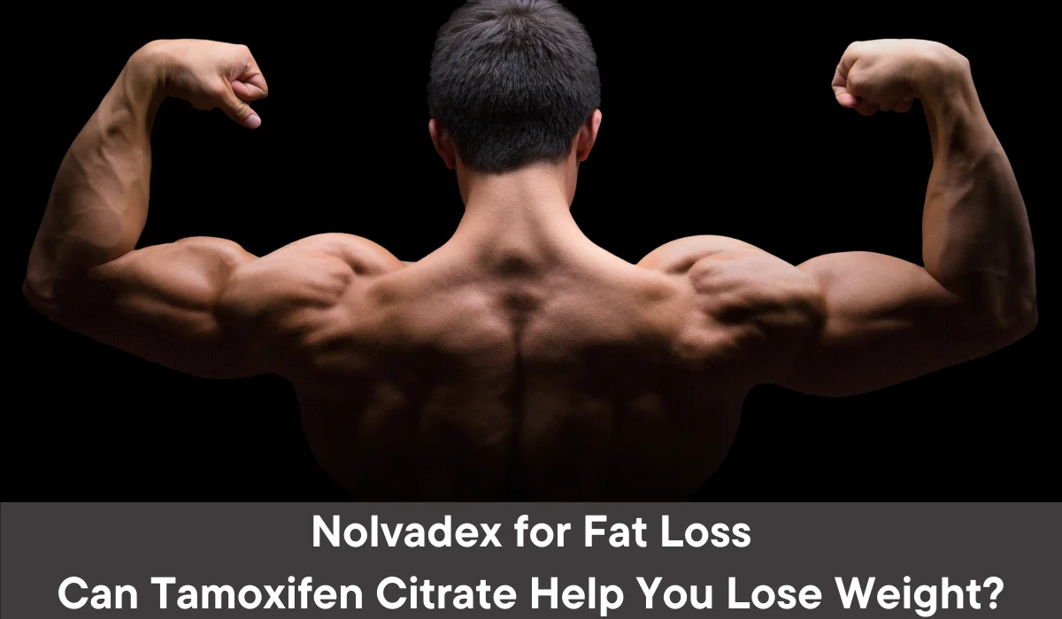 Nolvadex for Fat Loss: Can Tamoxifen Citrate Help You Lose Weight?